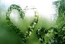 兰博竞技-哈登迎来十赛季出色发挥，德国队观众热烈欢呼！比赛高潮迭起的简单介绍